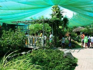 Pineapple Island Resort Daet Екстериор снимка